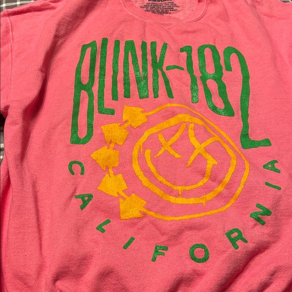 Urban outfitters Blink 182 Punk Rock Sweatshirt - Picture 4 of 6